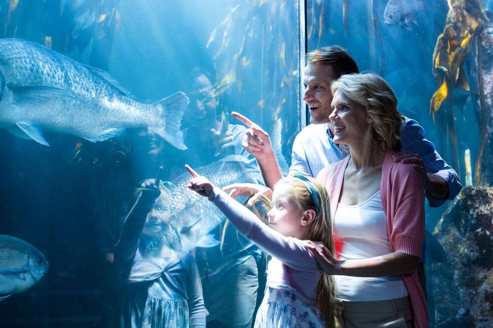 The Best Team Building Activities in Atlanta - the aquarium